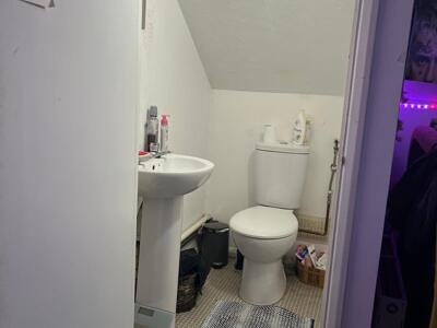 Picture 13